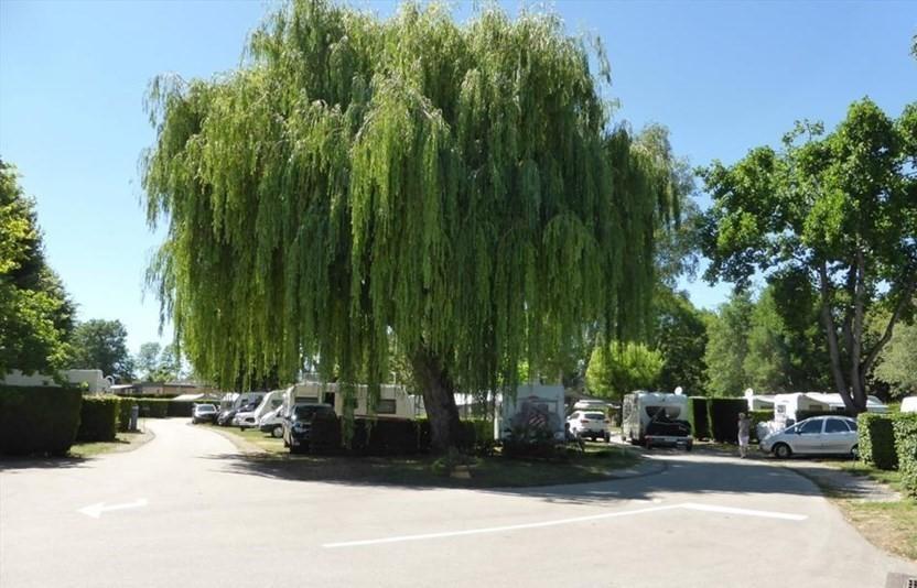 Camping Du Paquier Fane Chagny  Ngoại thất bức ảnh